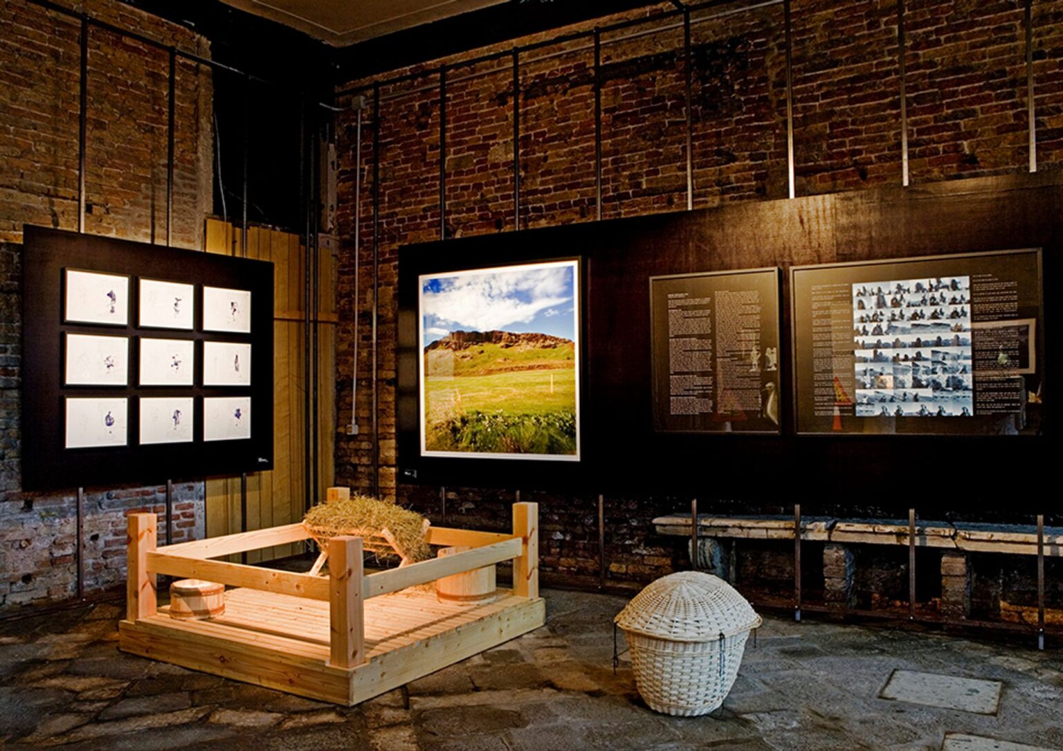 steingrimur-eyfjord-the-golden-plover-has-arrived-2000x1413