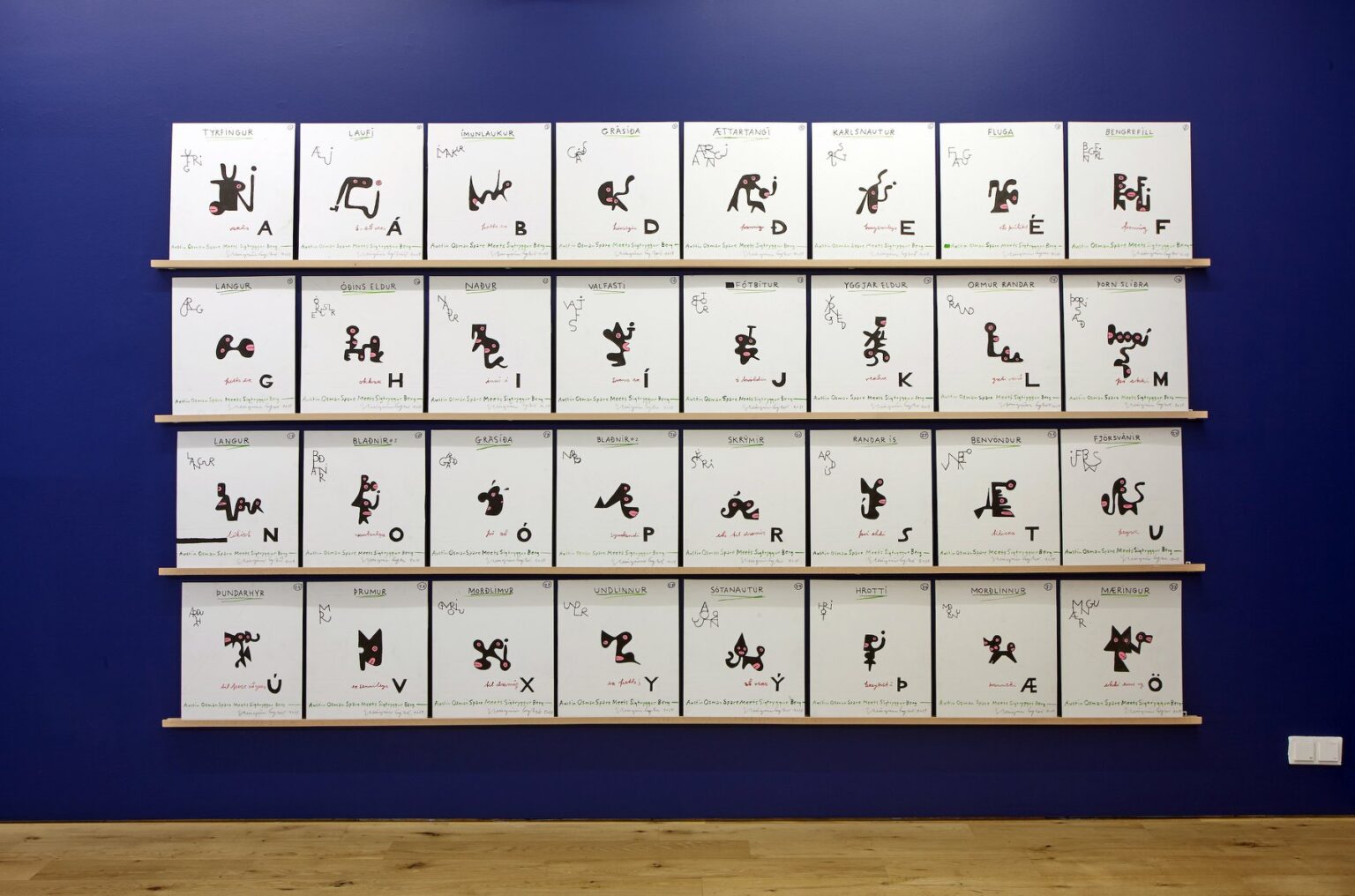 Steingrímur Eyfjörð_11