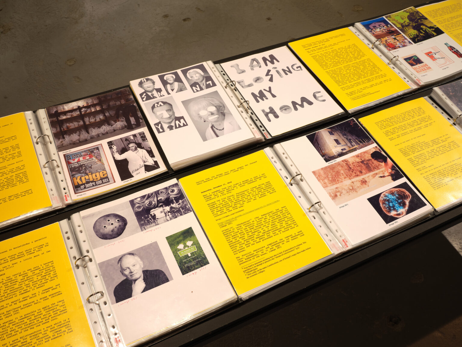 Steingrímur Eyfjörð "Classification" Reykjanes Art Museum, 2021.