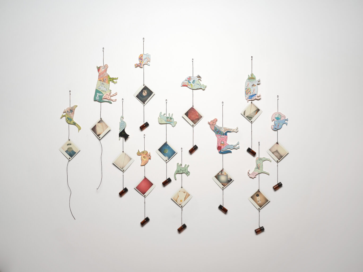 Steingrímur Eyfjörð "Classification" Reykjanes Art Museum, 2021.