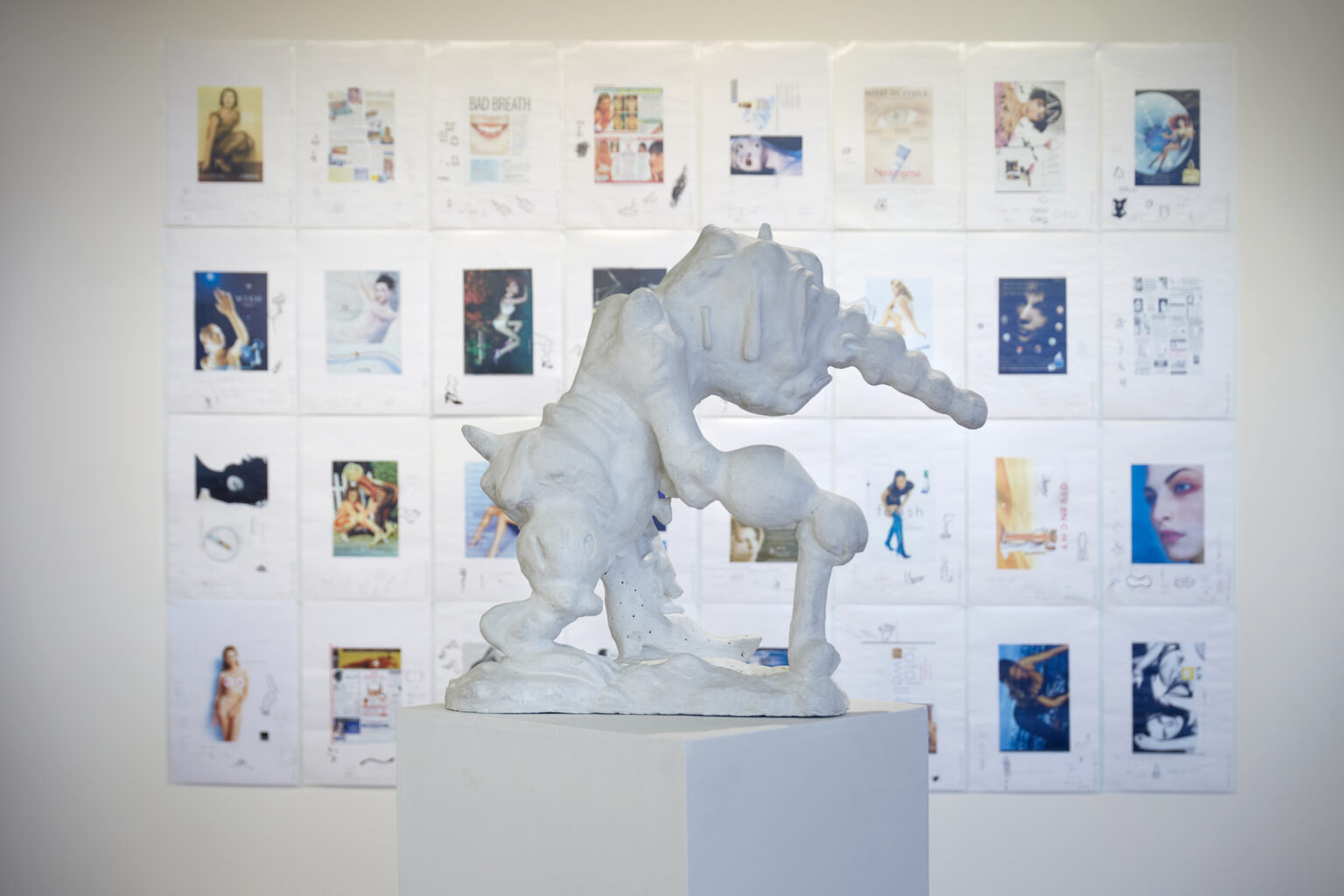 Steingrímur Eyfjörð "Classification" Reykjanes Art Museum, 2021.