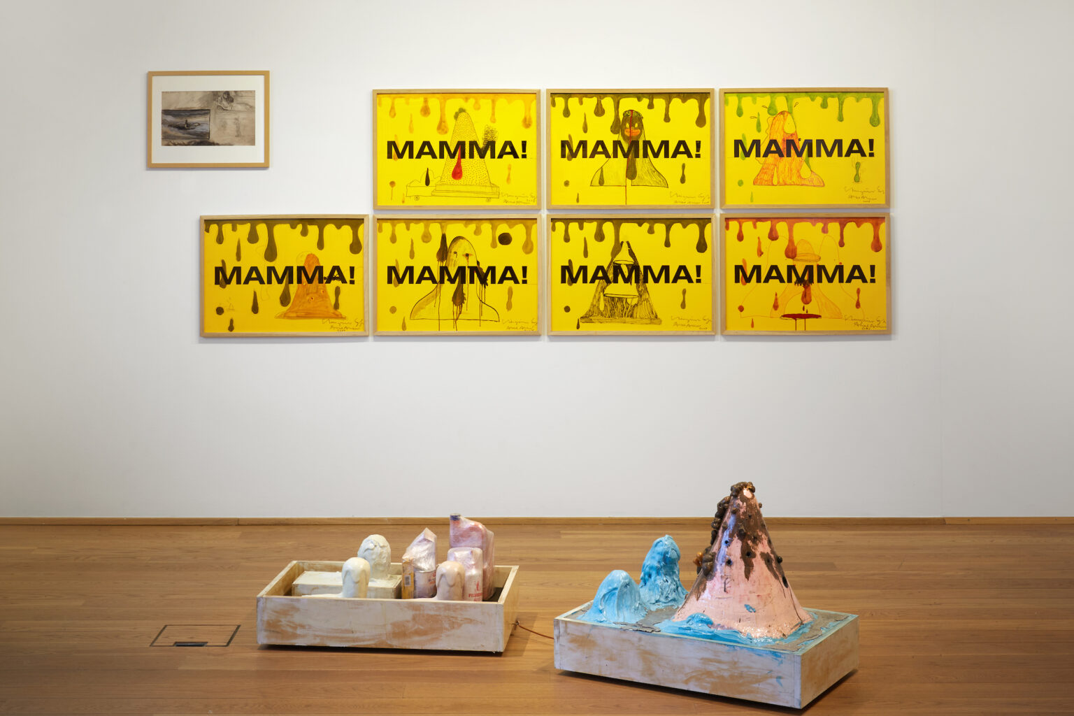 Steingrímur Eyfjörð "Classification" Reykjanes Art Museum, 2021.