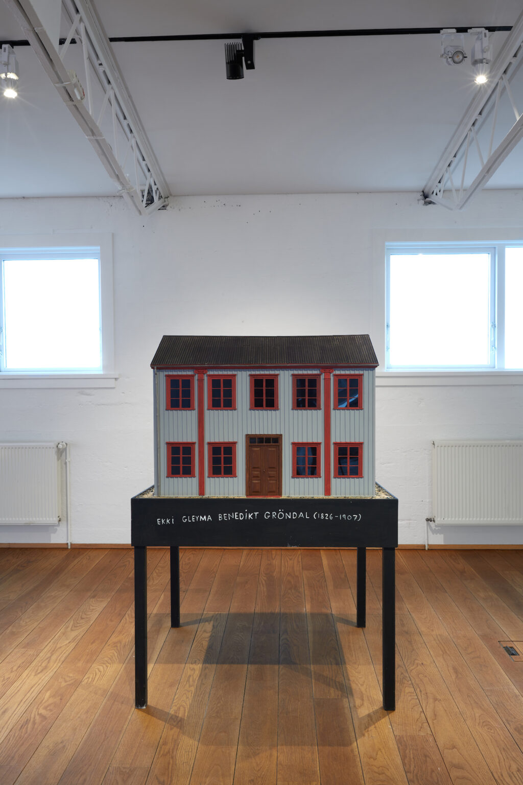 Steingrímur Eyfjörð "Classification" Reykjanes Art Museum, 2021.