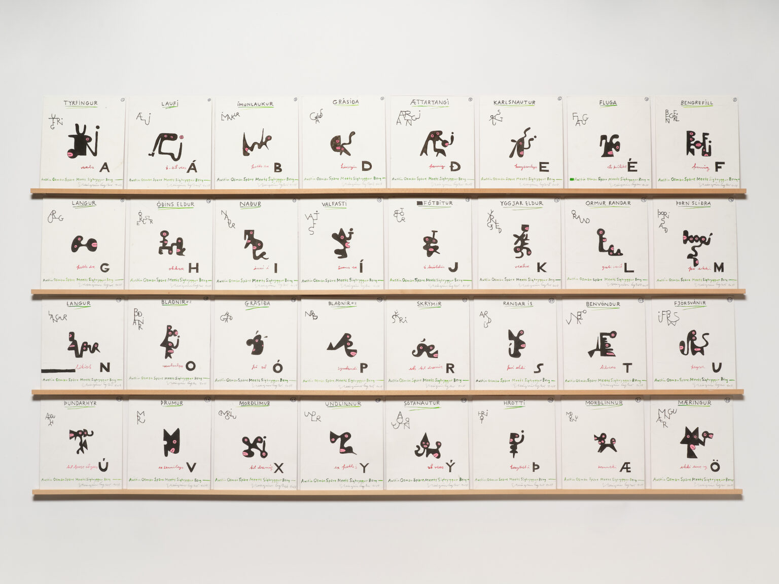 Steingrímur Eyfjörð "Classification" Reykjanes Art Museum, 2021.